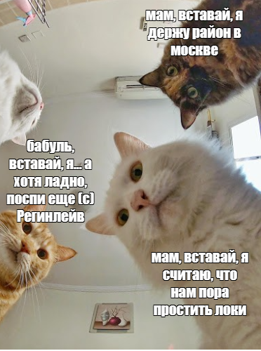 https://upforme.ru/uploads/001c/32/73/13/144500.png