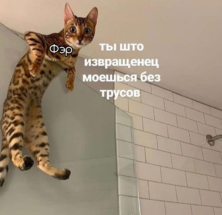https://upforme.ru/uploads/001c/32/73/6/187469.jpg