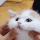 https://upforme.ru/uploads/001c/32/91/2/223786.gif