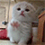 https://upforme.ru/uploads/001c/32/91/2/559164.gif