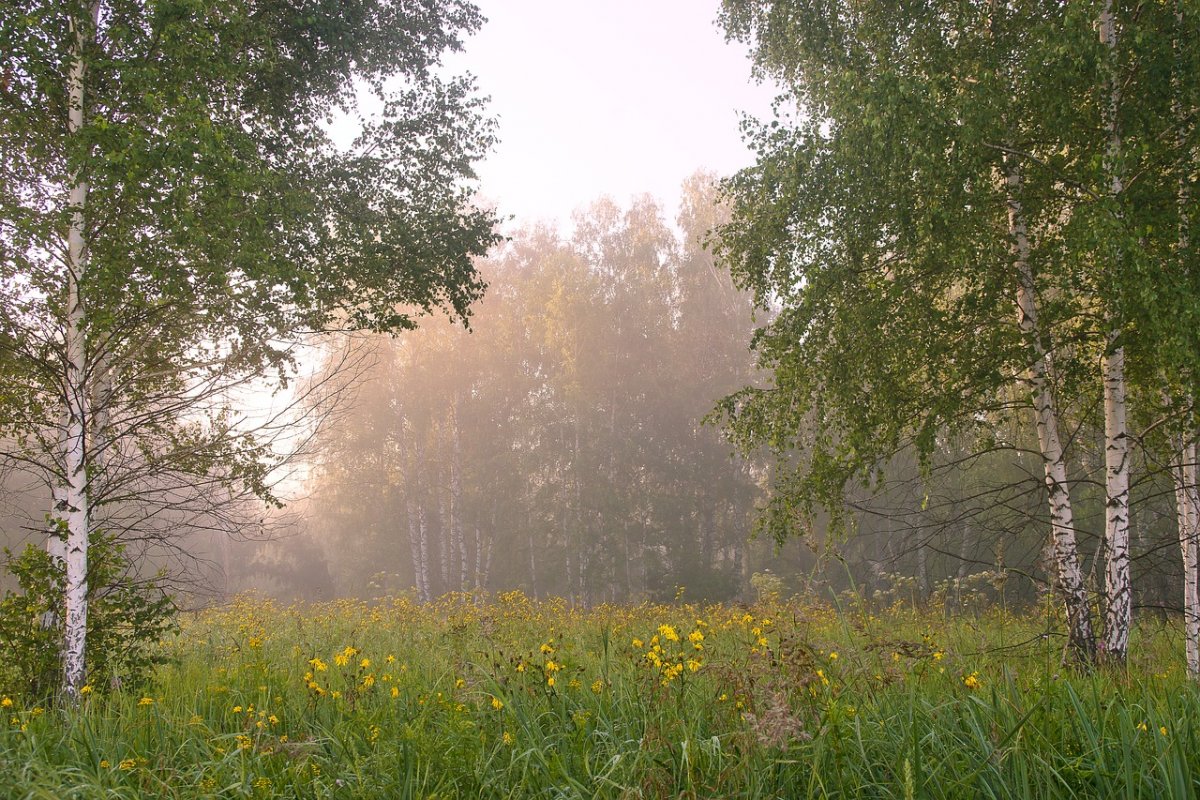 https://upforme.ru/uploads/001c/34/47/3/116003.jpg