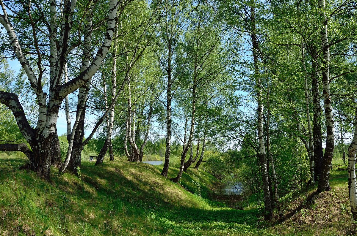 https://upforme.ru/uploads/001c/34/47/3/876646.jpg