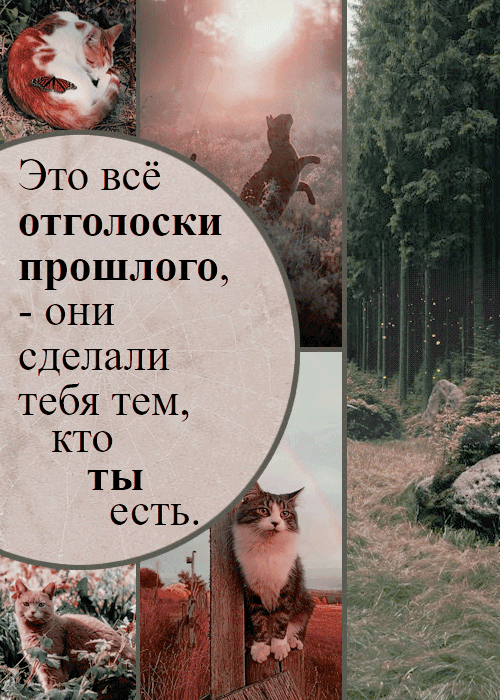https://upforme.ru/uploads/001c/34/47/3/915013.gif