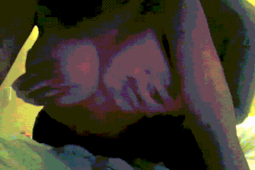 https://upforme.ru/uploads/001c/34/95/4/t644314.gif