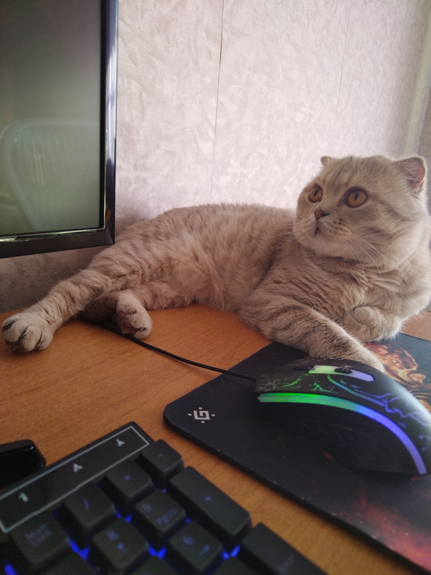 https://upforme.ru/uploads/001c/34/db/20/921921.jpg