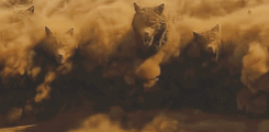 https://upforme.ru/uploads/001c/35/8d/160/563313.gif