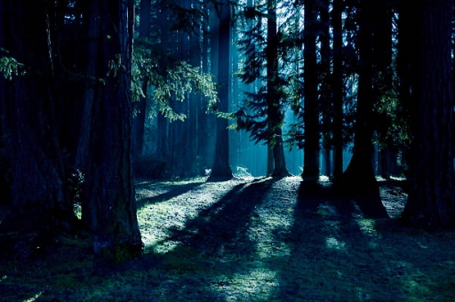 https://upforme.ru/uploads/001c/35/fc/2/719410.jpg