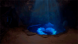 https://upforme.ru/uploads/001c/36/55/6/352460.gif