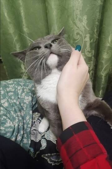 https://upforme.ru/uploads/001c/36/d0/11/t199425.jpg