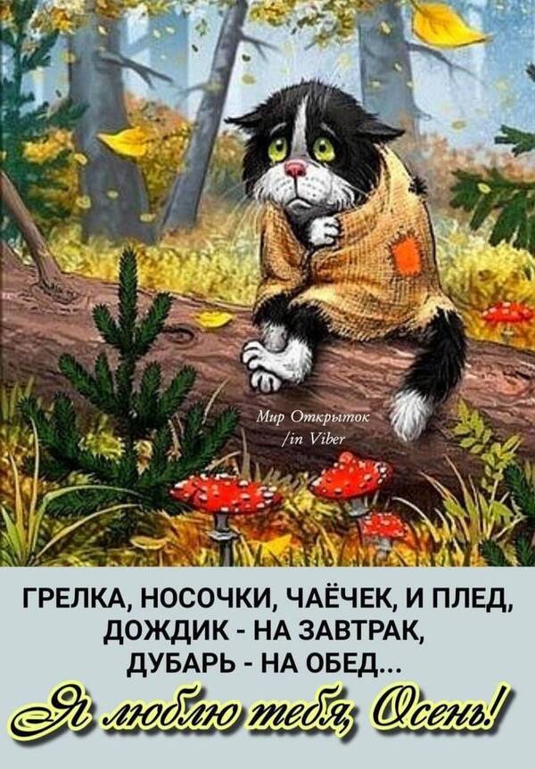https://upforme.ru/uploads/001c/36/d0/11/t908940.jpg