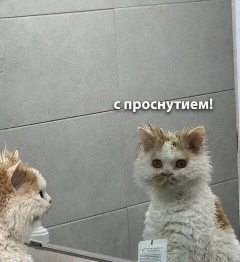 https://upforme.ru/uploads/001c/36/d0/11/t921838.jpg
