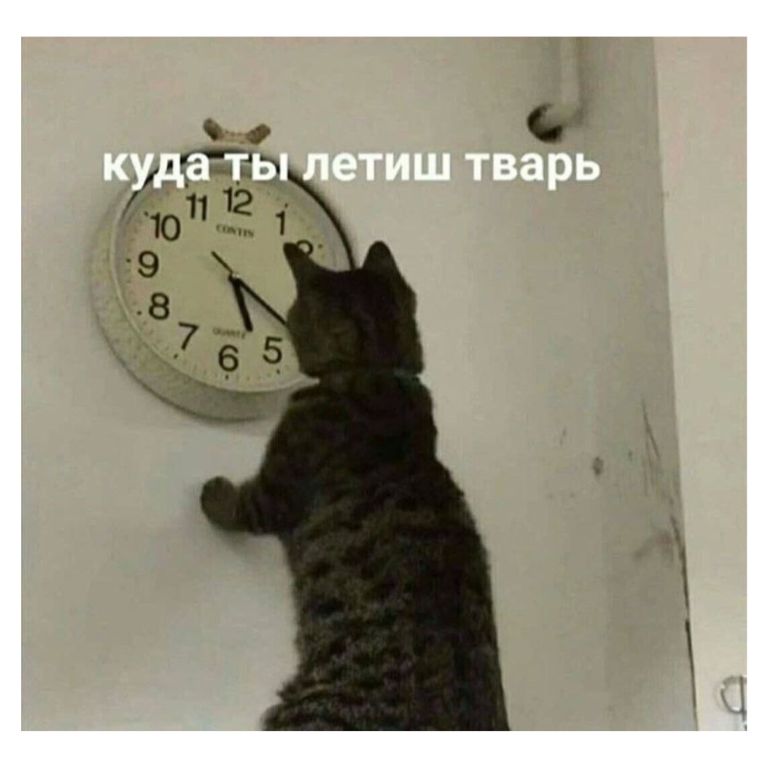 https://upforme.ru/uploads/001c/36/d0/120/262400.jpg