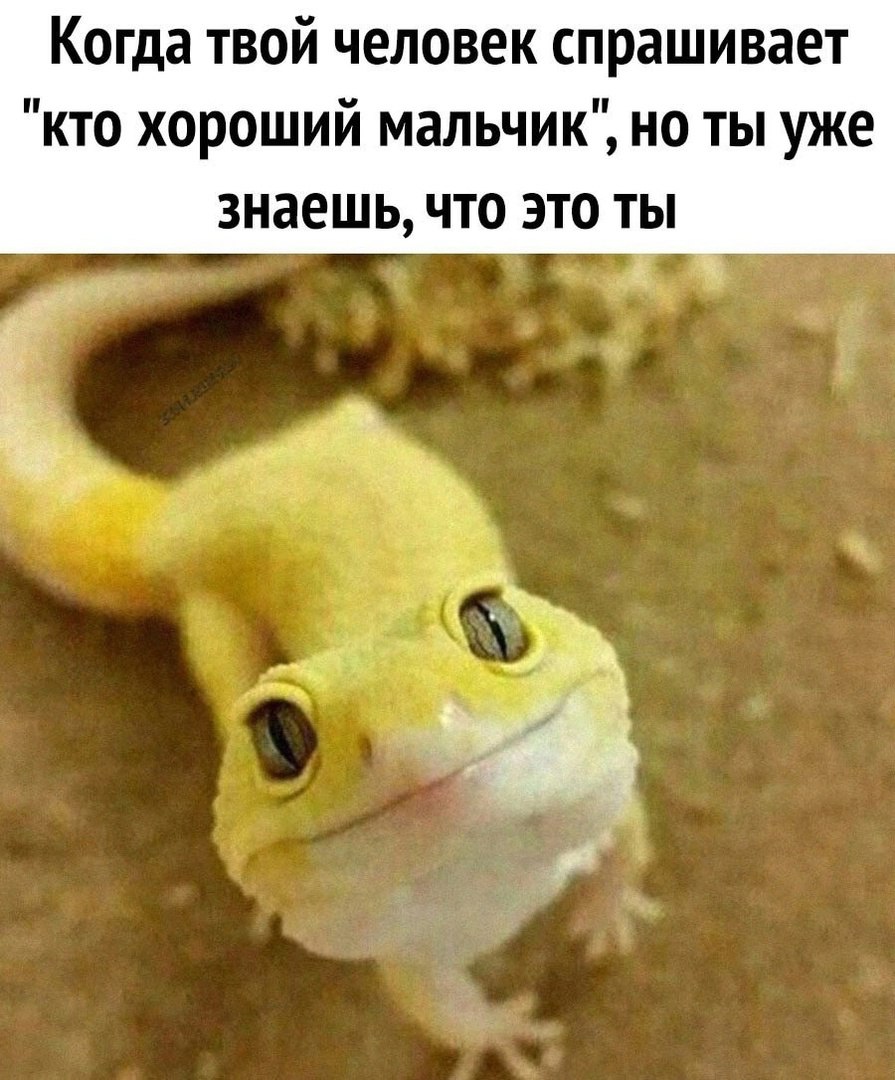 https://upforme.ru/uploads/001c/36/d0/120/26967.jpg