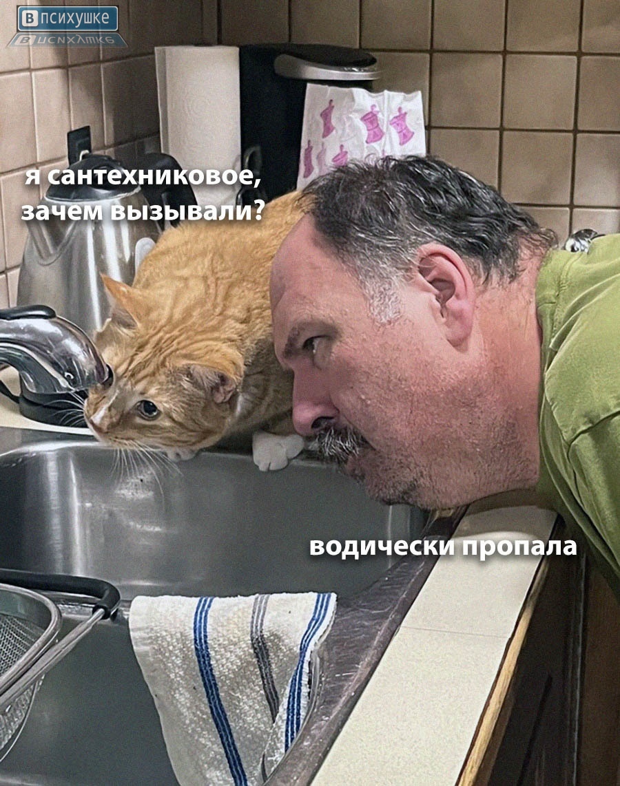 https://upforme.ru/uploads/001c/36/d0/120/470468.jpg