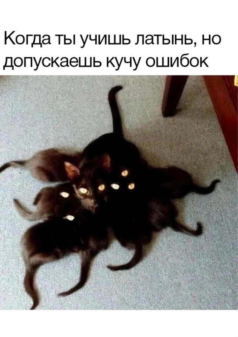 https://upforme.ru/uploads/001c/36/d0/120/94154.jpg