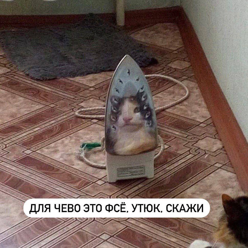 https://upforme.ru/uploads/001c/36/d0/123/160078.jpg