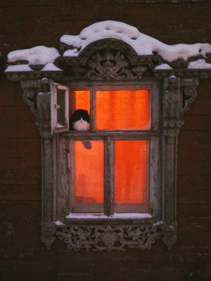https://upforme.ru/uploads/001c/36/d0/123/713481.jpg