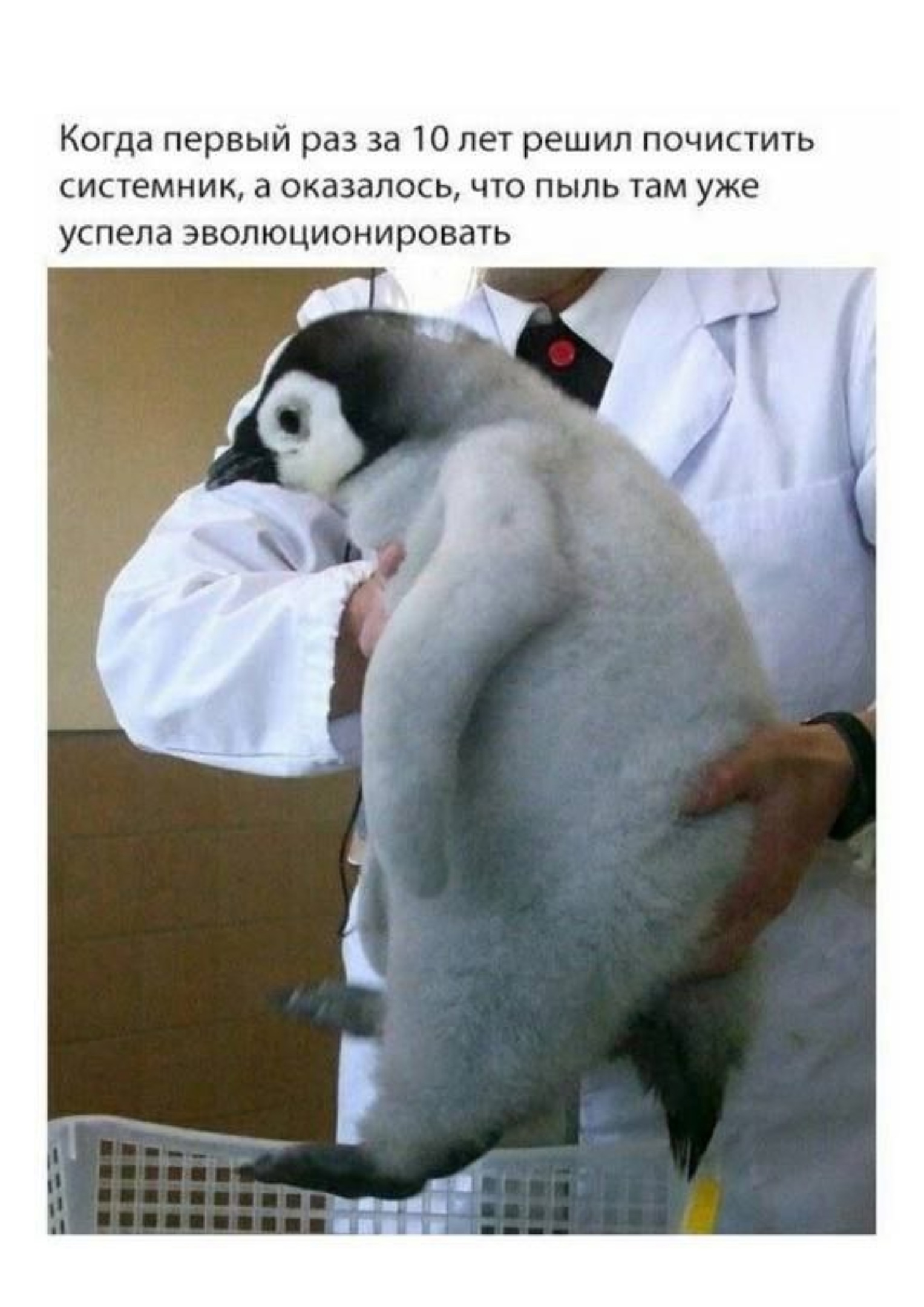 https://upforme.ru/uploads/001c/36/d0/13/107102.jpg