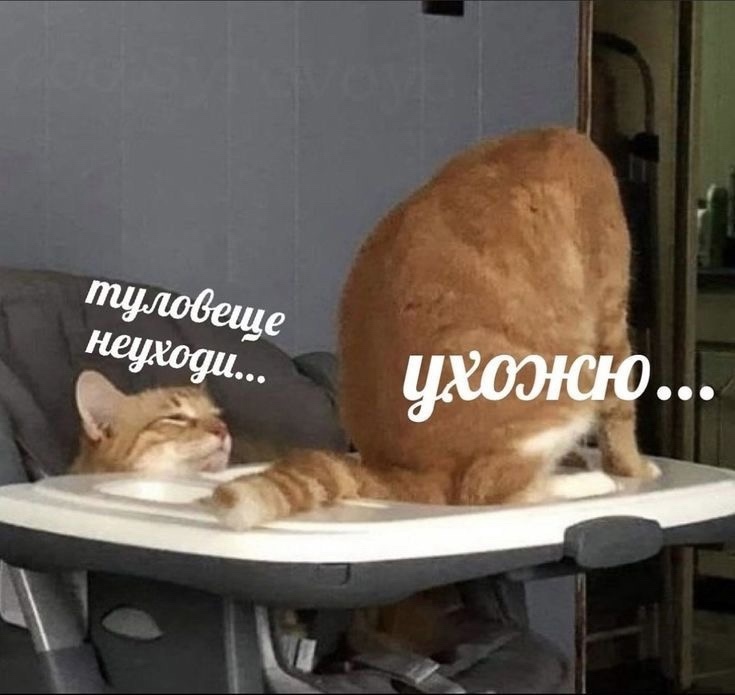 https://upforme.ru/uploads/001c/36/d0/13/107303.jpg