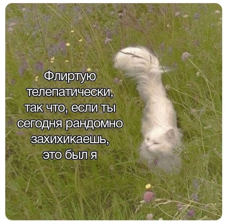 https://upforme.ru/uploads/001c/36/d0/13/127731.jpg
