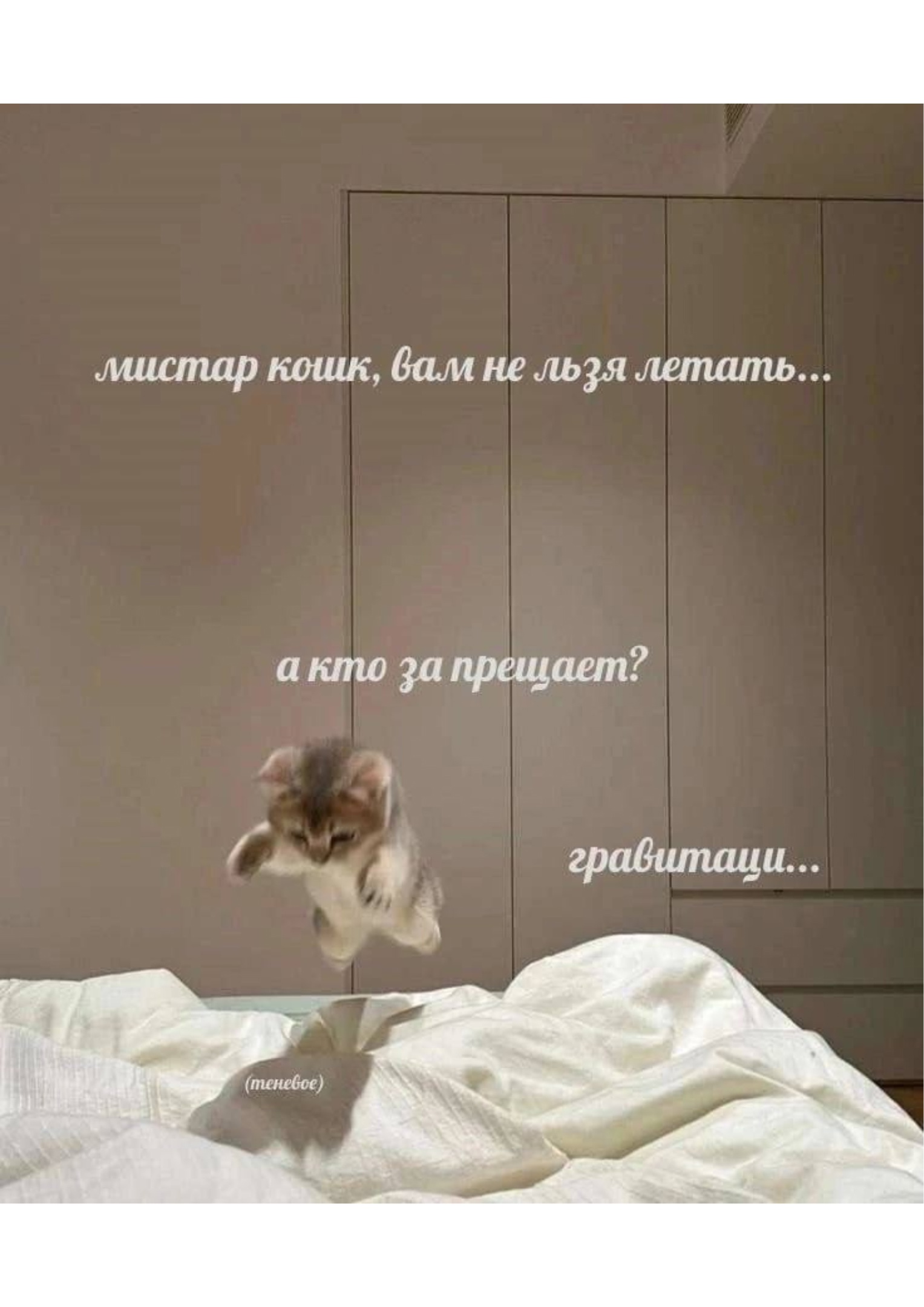 https://upforme.ru/uploads/001c/36/d0/13/12861.jpg