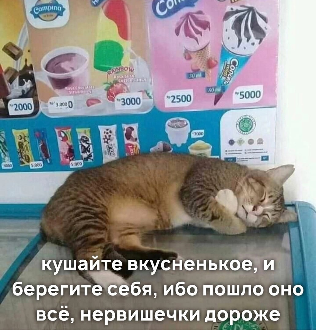 https://upforme.ru/uploads/001c/36/d0/13/141698.jpg