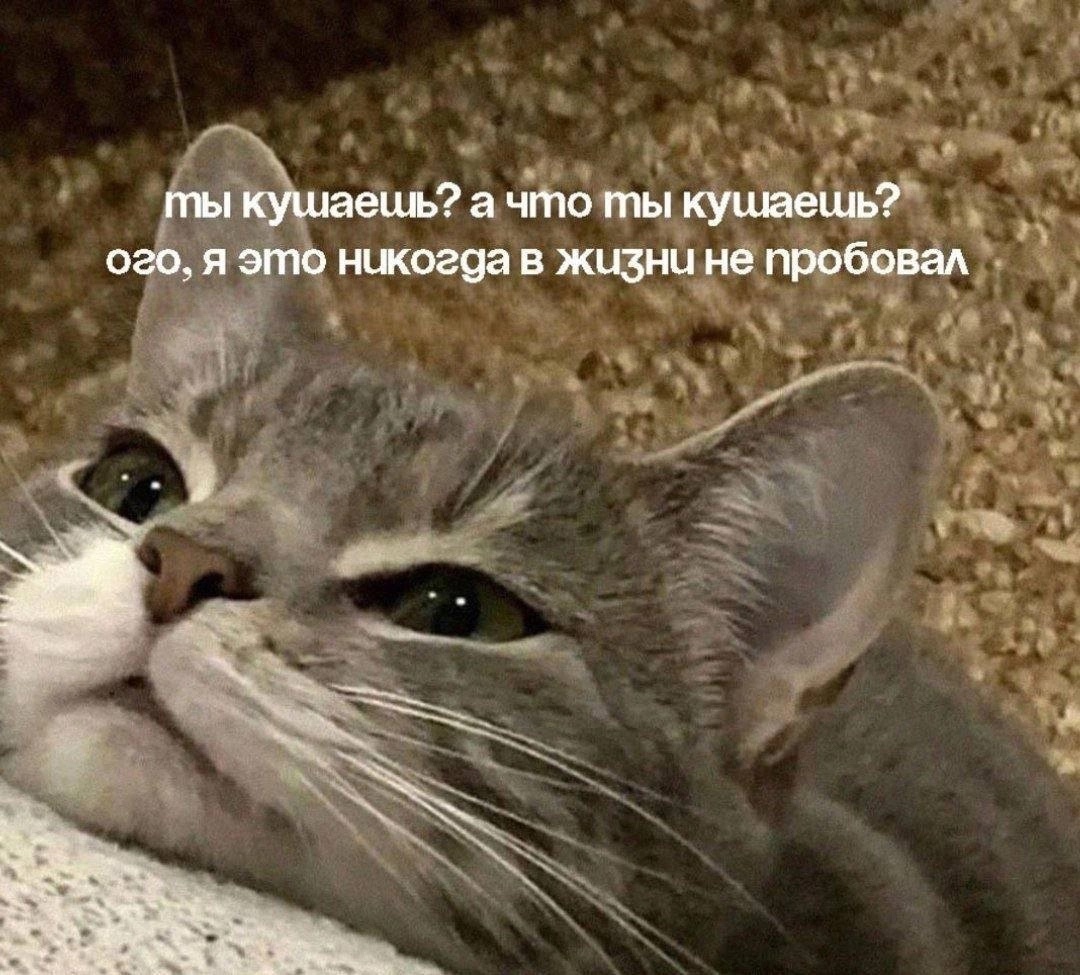 https://upforme.ru/uploads/001c/36/d0/13/190037.jpg