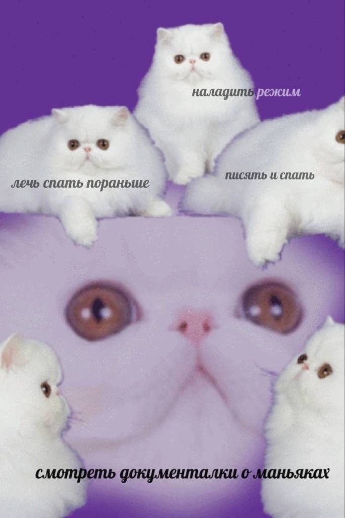 https://upforme.ru/uploads/001c/36/d0/13/197701.jpg