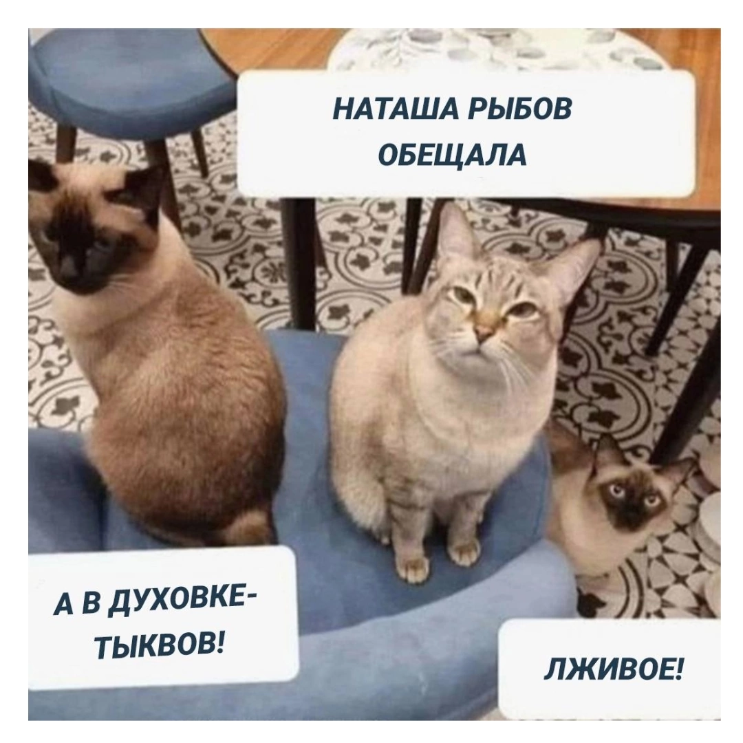 https://upforme.ru/uploads/001c/36/d0/13/198155.webp