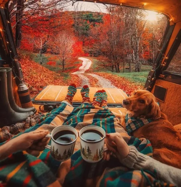 https://upforme.ru/uploads/001c/36/d0/13/229766.jpg