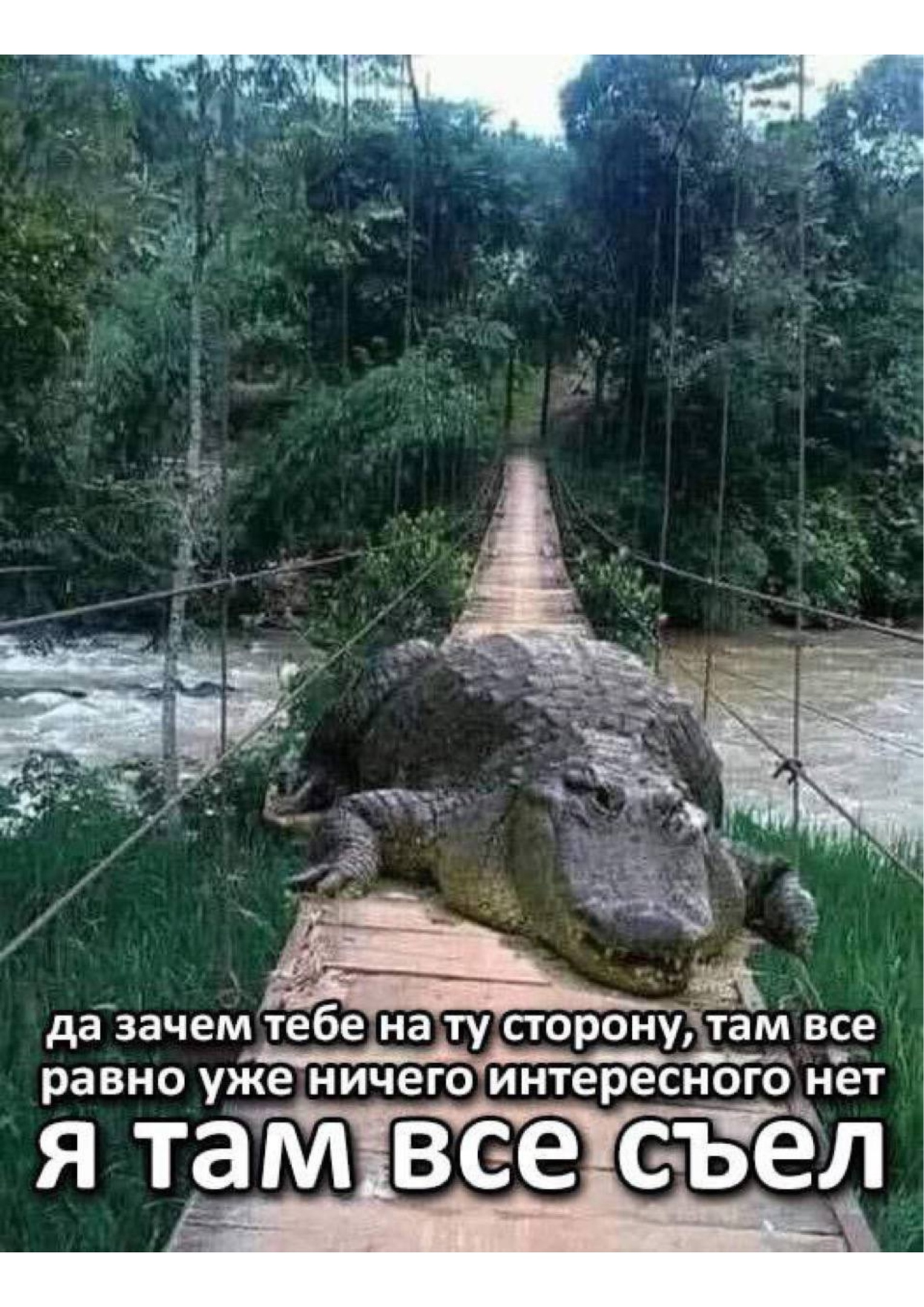 https://upforme.ru/uploads/001c/36/d0/13/243975.jpg
