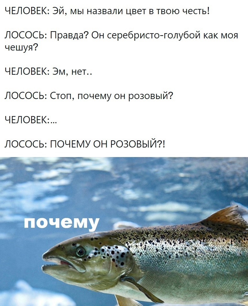 https://upforme.ru/uploads/001c/36/d0/13/280705.jpg