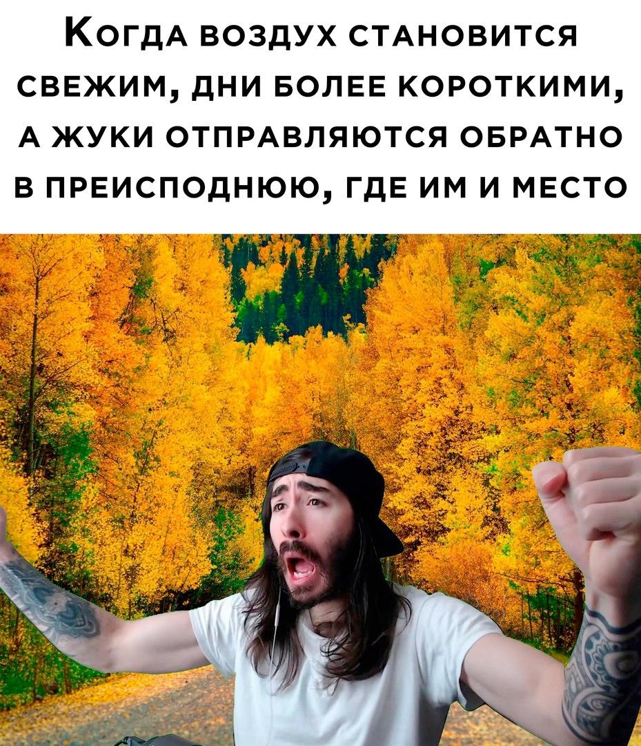 https://upforme.ru/uploads/001c/36/d0/13/289718.jpg