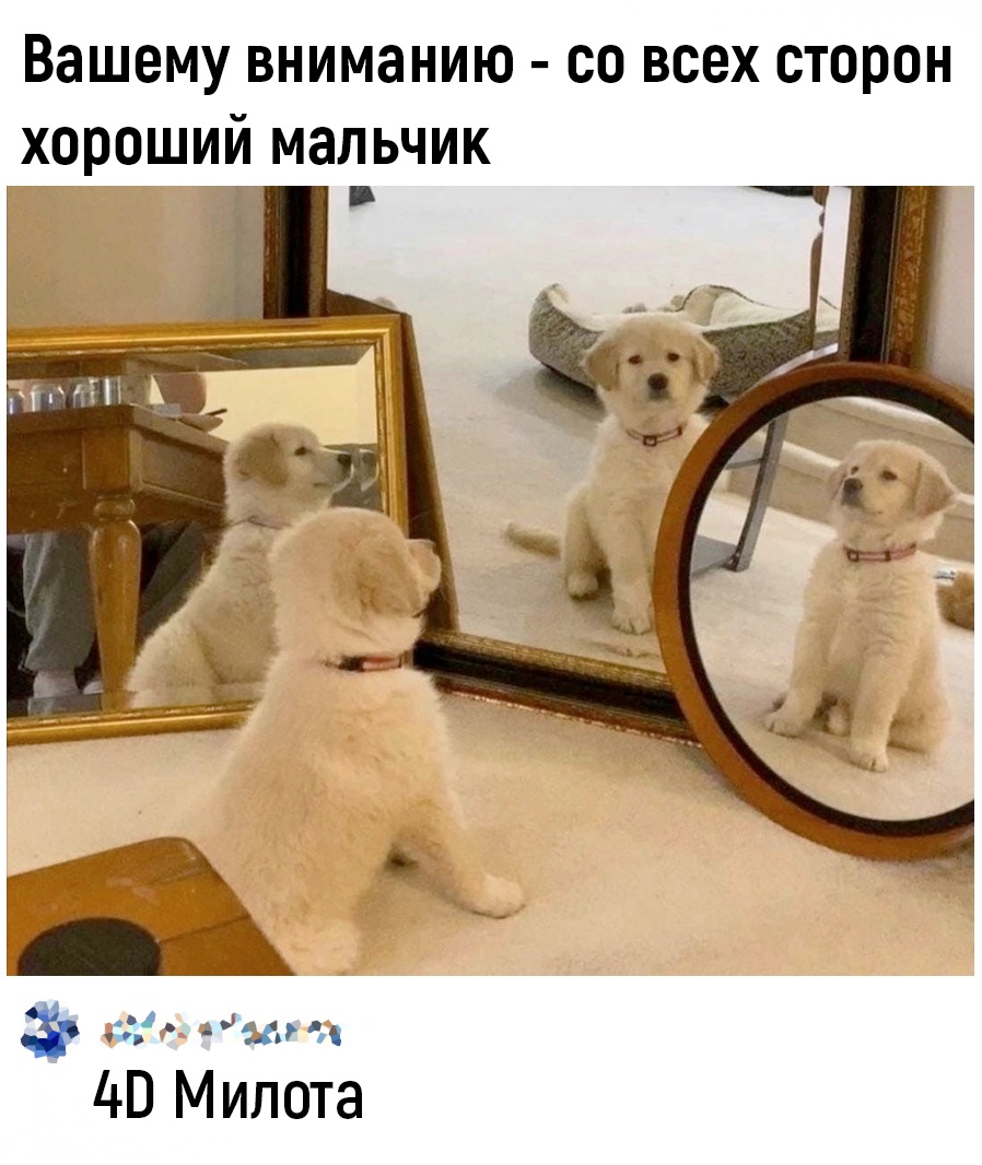 https://upforme.ru/uploads/001c/36/d0/13/331687.jpg