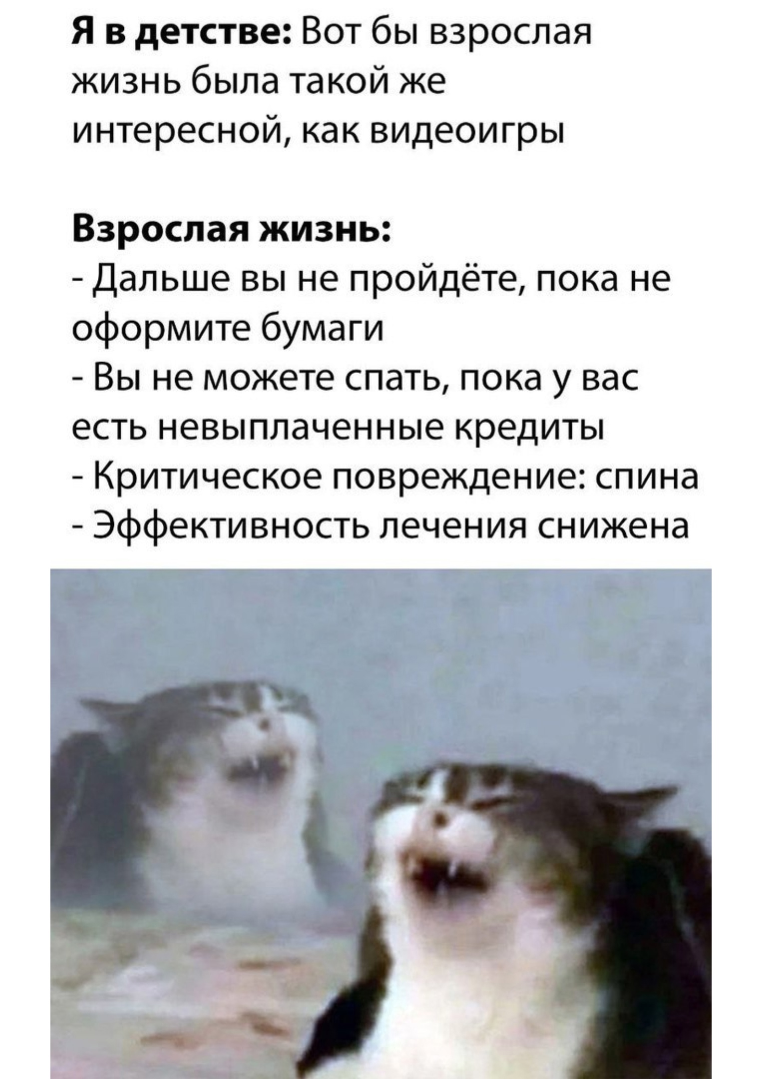 https://upforme.ru/uploads/001c/36/d0/13/335481.jpg