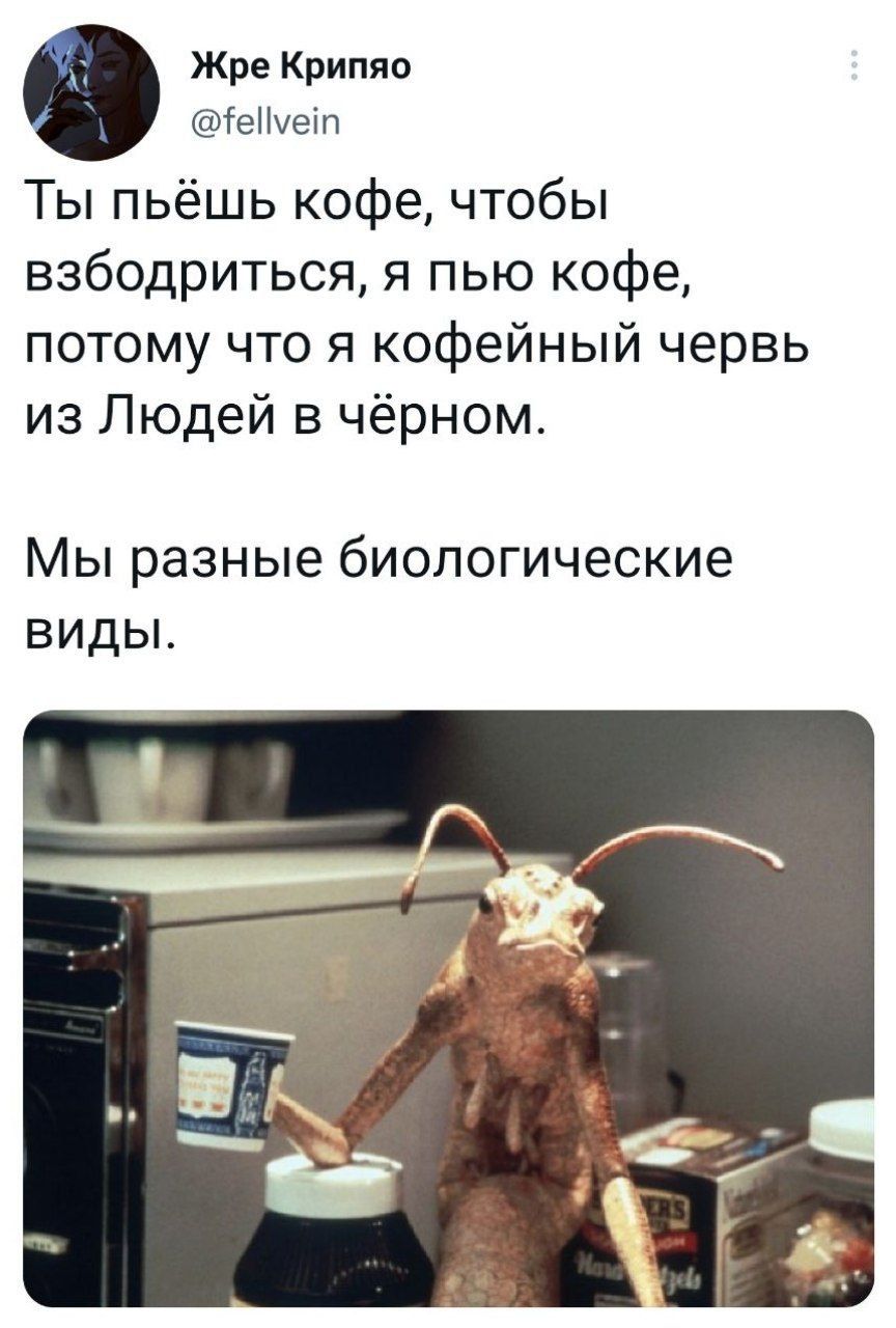 https://upforme.ru/uploads/001c/36/d0/13/364319.jpg