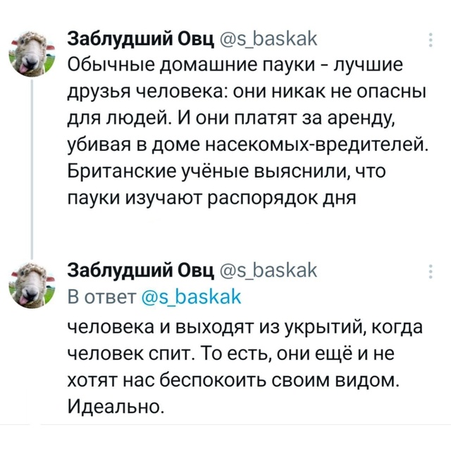 https://upforme.ru/uploads/001c/36/d0/13/379826.jpg