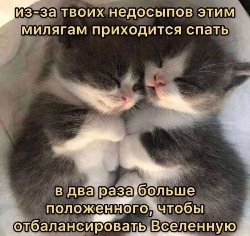 https://upforme.ru/uploads/001c/36/d0/13/383362.jpg
