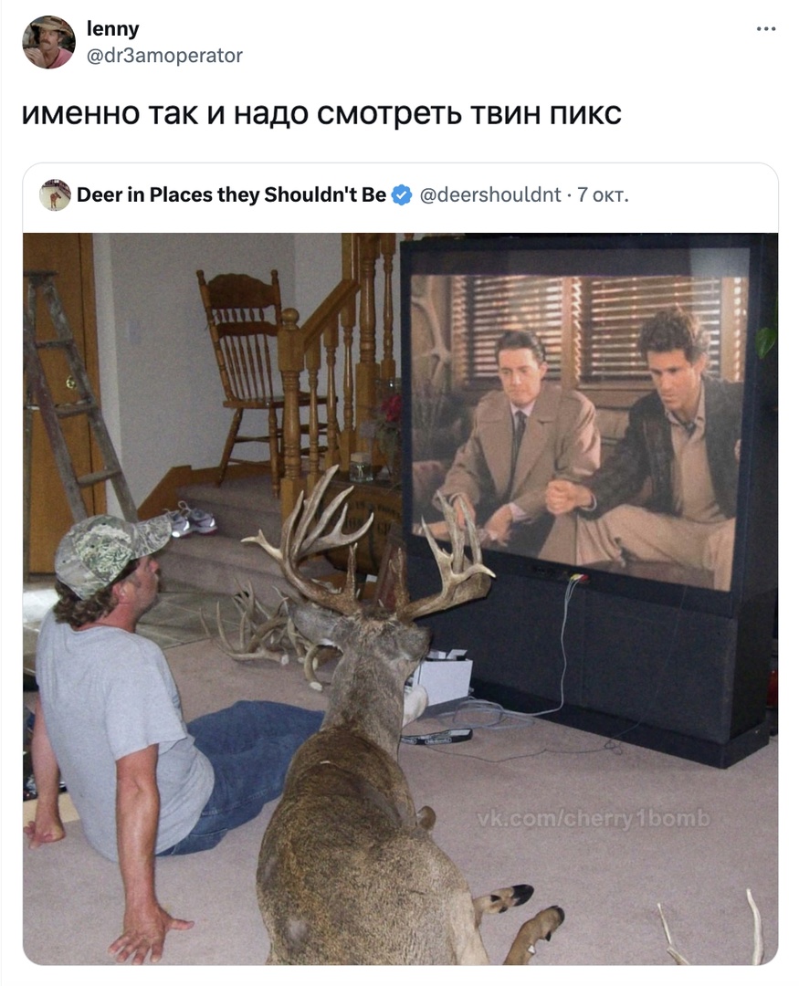 https://upforme.ru/uploads/001c/36/d0/13/392734.jpg