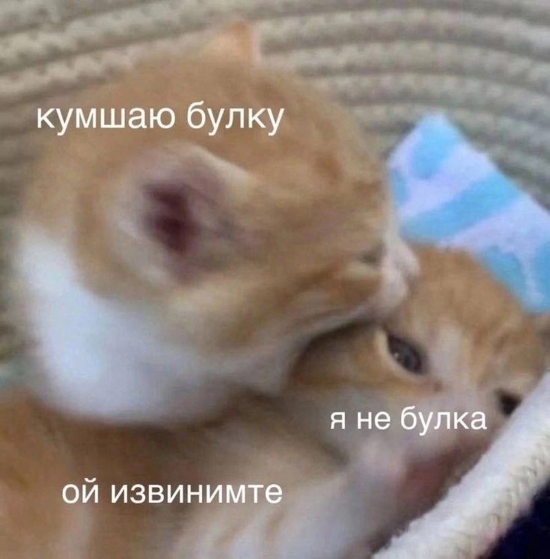https://upforme.ru/uploads/001c/36/d0/13/419774.jpg