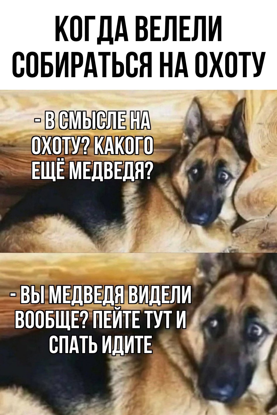 https://upforme.ru/uploads/001c/36/d0/13/497242.jpg