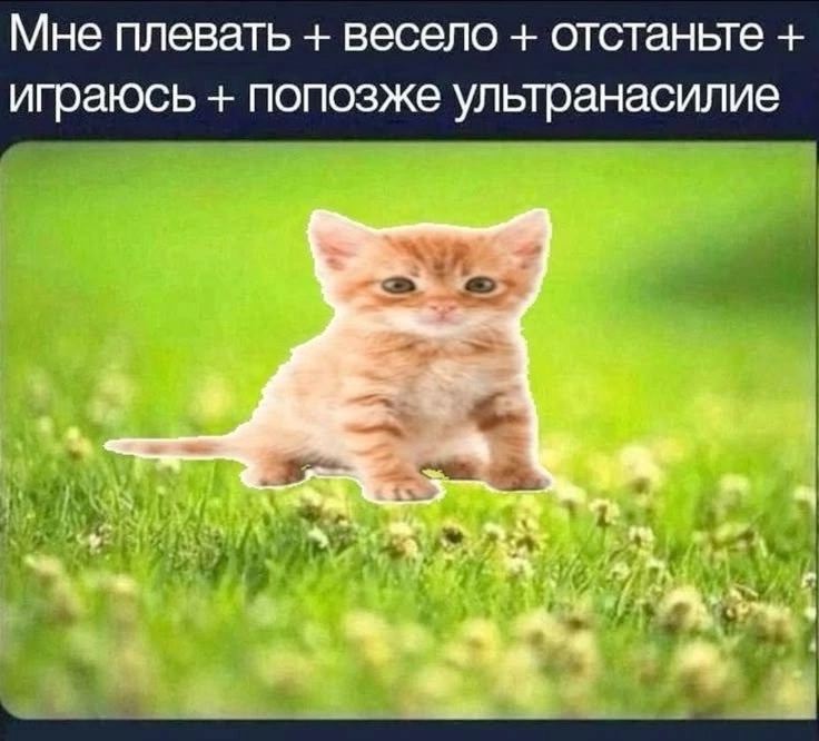 https://upforme.ru/uploads/001c/36/d0/13/517287.jpg