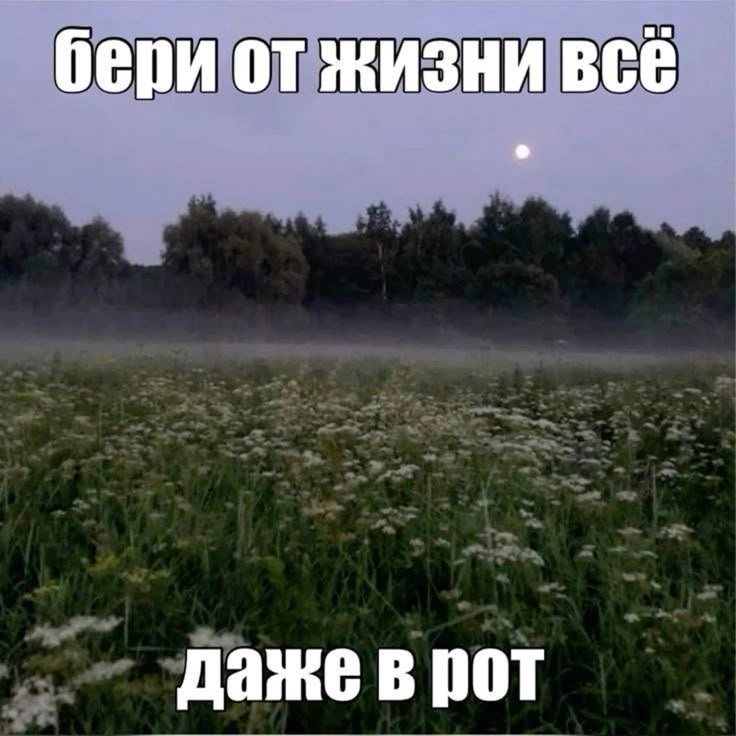 https://upforme.ru/uploads/001c/36/d0/13/553945.jpg