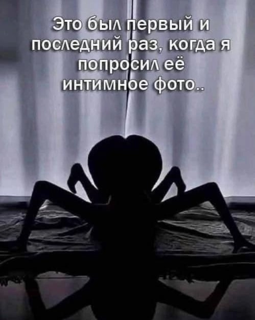 https://upforme.ru/uploads/001c/36/d0/13/574120.jpg