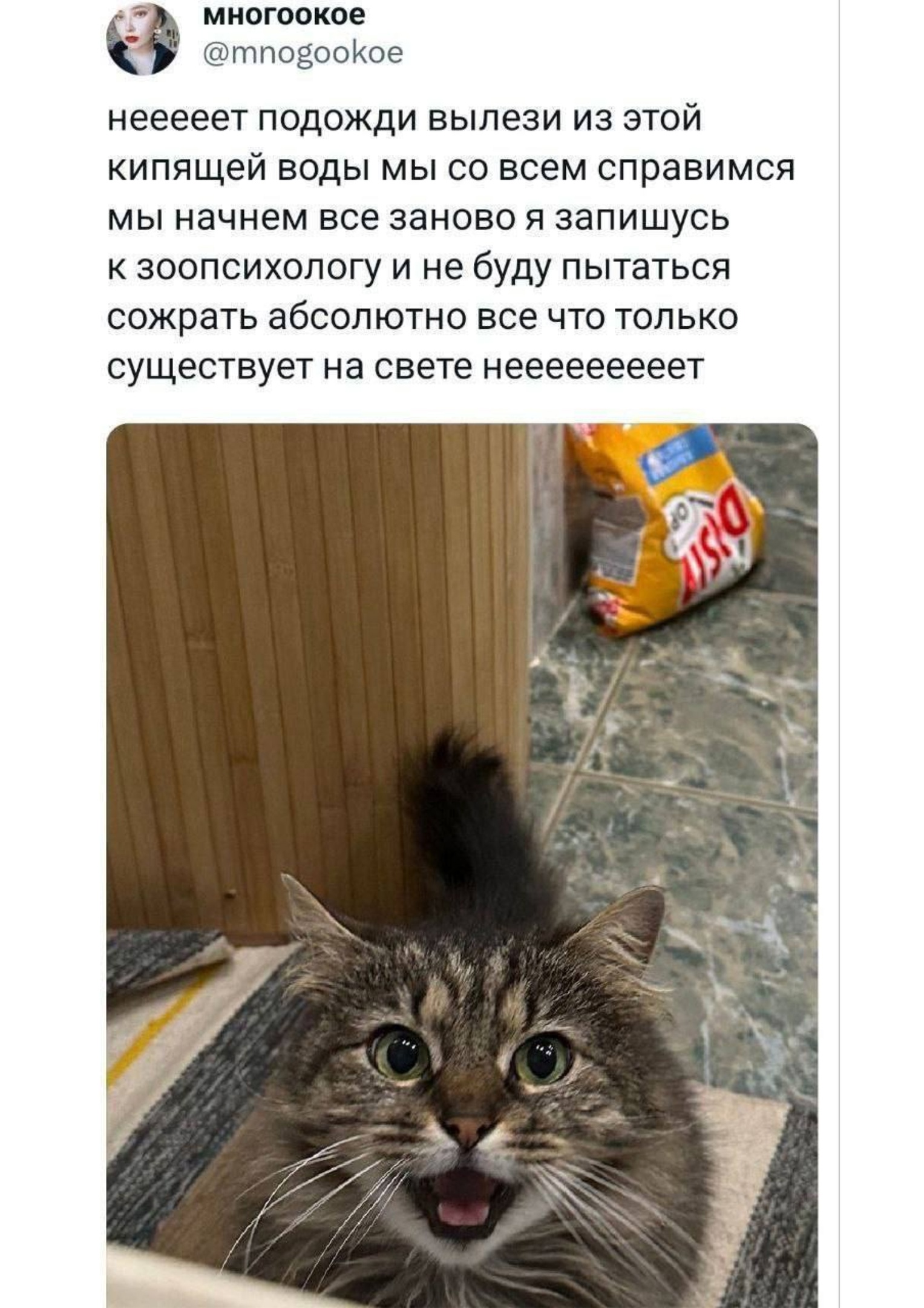 https://upforme.ru/uploads/001c/36/d0/13/595106.jpg
