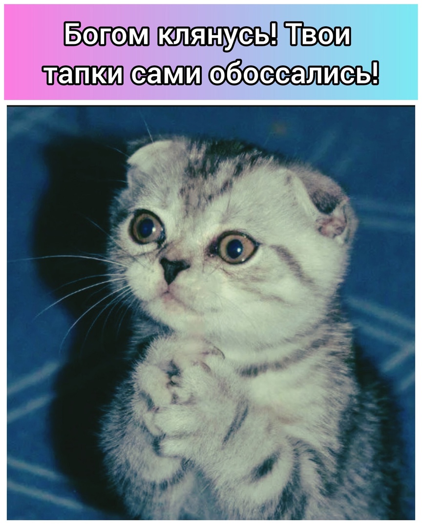 https://upforme.ru/uploads/001c/36/d0/13/604033.jpg