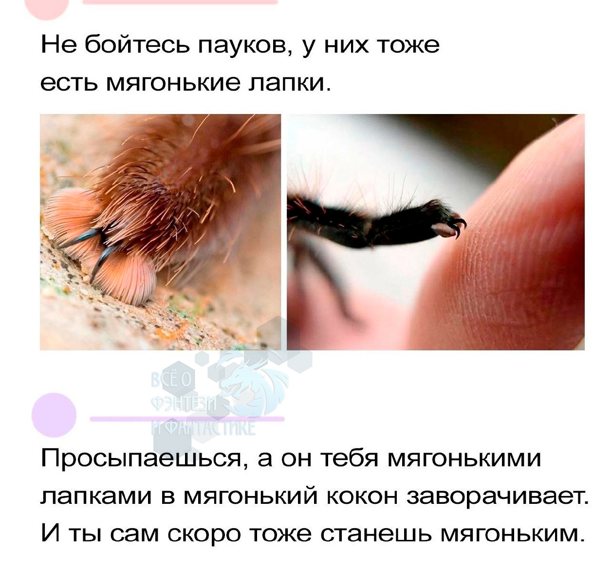 https://upforme.ru/uploads/001c/36/d0/13/624823.jpg