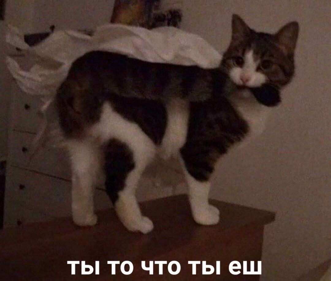 https://upforme.ru/uploads/001c/36/d0/13/638791.jpg