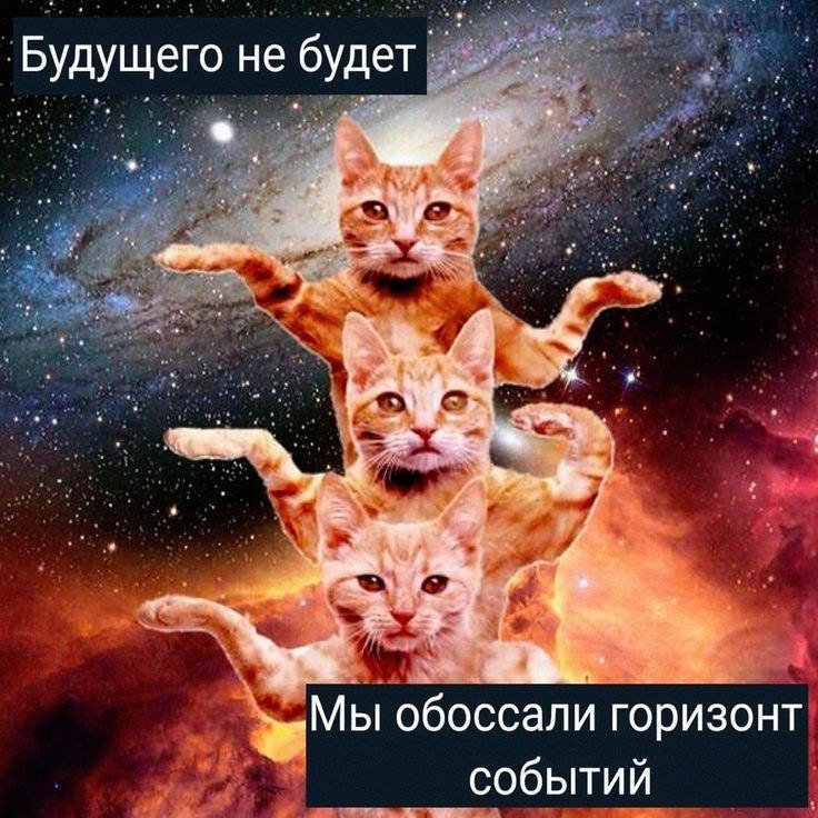 https://upforme.ru/uploads/001c/36/d0/13/652156.jpg