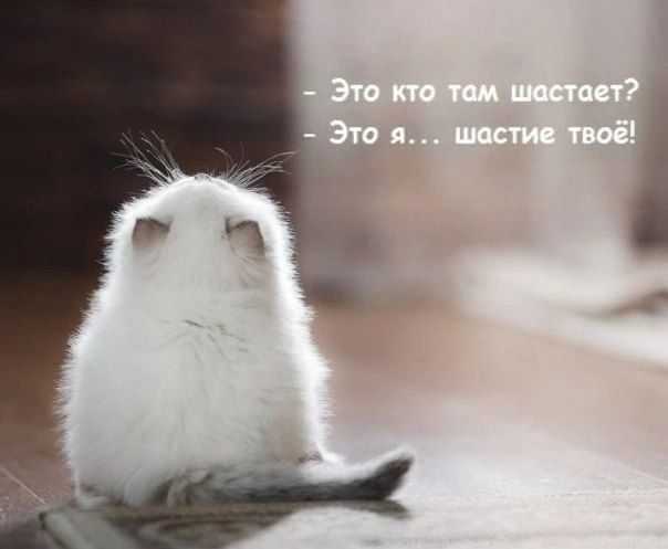 https://upforme.ru/uploads/001c/36/d0/13/714626.jpg